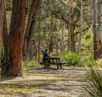 Koreelah Creek campground - Accommodation Perth