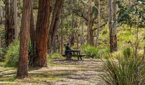 Koreelah Creek Campground - Accommodation Perth 0