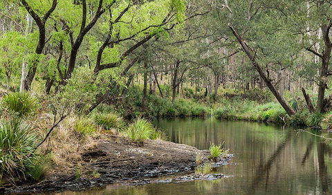 Koreelah Creek Campground - Accommodation Perth 1
