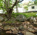 Mt Warning Rainforest Park - Accommodation Perth