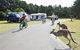 Murramarang Beachfront Nature Resort - thumb 4