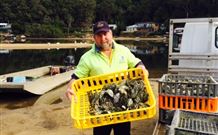 Patonga Camping Area - Perth Resorts 2