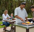Port Stephens Treescape - Accommodation Perth
