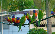 Pyramid Holiday Park - Accommodation Perth 3