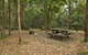 Sheepstation Creek Campground - thumb 0