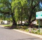 Spicer Park Caravan Park - Accommodation Perth
