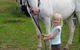 Three Waters High Country Holidays - thumb 0