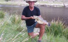 Three Waters High Country Holidays - Accommodation Perth 1