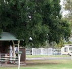Warialda Caravan Park - Accommodation Perth
