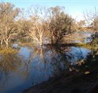 Warrawong on the Darling - Accommodation Perth
