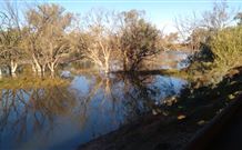 Warrawong On The Darling - Accommodation Perth 0