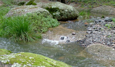 Washpools Campground - Accommodation Perth 2