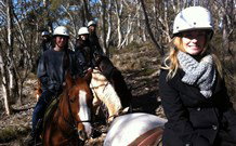 JE Resort (Jindabyne Equestrian Resort) - Accommodation Perth 1