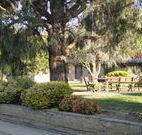 Hamilton Hume Motor Inn - Yass - Accommodation Perth