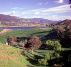 Motel Royal Tara - Binalong