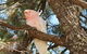 Mungo Lodge Tours And Accommodation - thumb 5