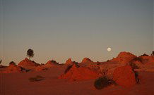 Mungo Lodge Tours And Accommodation - Perth Resorts 8