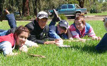 Murrumbidgee Rural Studies Centre Accommodation - Yanco - Accommodation Perth 2