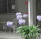 Pine Lodge Motel - Woolgoolga - Accommodation Perth
