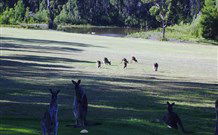 Sussex Shores RSL Units - Sussex Inlet - Accommodation Perth 6