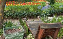 The Carrington Inn - Accommodation Perth 0