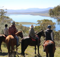 Reynella Homestead and Horseback Rides - Accommodation Perth