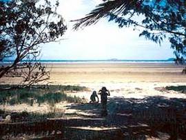 Midge Point QLD Accommodation Perth