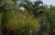 Ballina Beach Resort - thumb 4