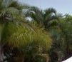 Ballina Beach Resort - Accommodation Perth 4