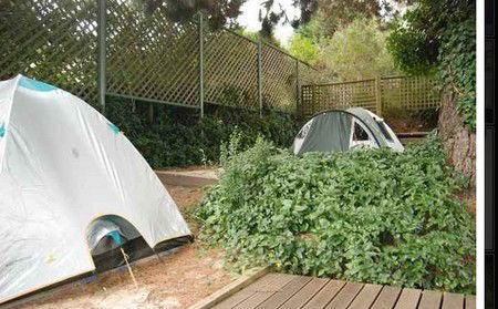 The Flying Fox Backpackers - Accommodation Perth 2