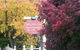 Shelton-lea Bed & Breakfast - thumb 0