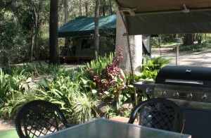 Tamborine Mountain Caravan & Camping - Accommodation Perth 2