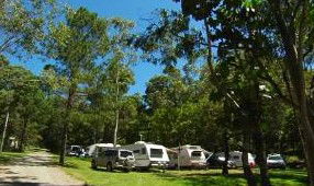 Tamborine Mountain Caravan & Camping - Accommodation Perth 3
