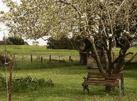 Lemon Gum B And B - Accommodation Perth 2