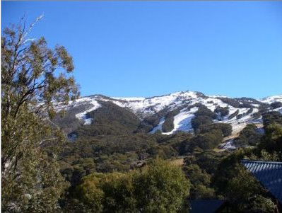 Alpenhorn Lodge - Accommodation Perth 1