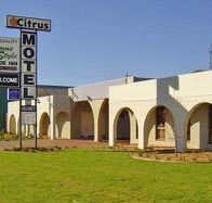 Citrus Motel - Accommodation Perth