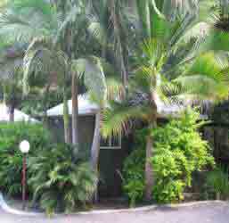 Nambour Rainforest Holiday Village - Accommodation Perth 1