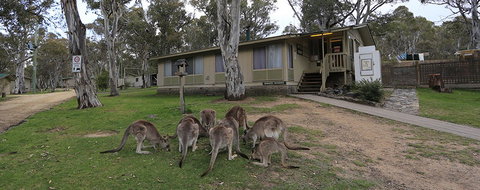 Kosciuszko Tourist Park - Accommodation Perth 5