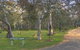 Kosciuszko Tourist Park - thumb 6