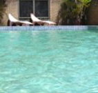 Toreador Motel - Coffs Harbour - Accommodation Perth