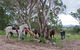 Hidden Valley Farm - thumb 1
