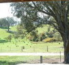 Hosanna Farm Retreat - Accommodation Perth