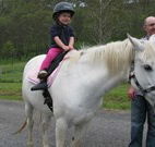 Mansfield Cottage Barrington Tops Accommodation - Accommodation Perth