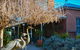 Morvern Valley Farm Stay Cottages - thumb 2