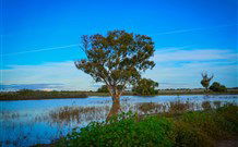 Morvern Valley Farm Stay Cottages - Accommodation Perth 4