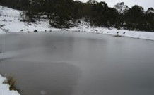 Savernake Farm Stay - Accommodation Perth 1