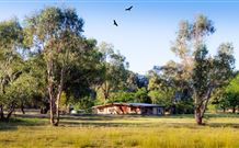 Starline Alpaca Farm Stay - Accommodation Perth 2