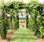 All Saints Bed and Breakfast - Accommodation Perth