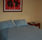 Busy Buzz - Accommodation Perth