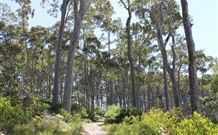 Lilli Pilli Beach Bed And Breakfast - Accommodation Perth 5